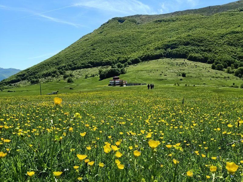 Passo San Leonardo (1282 m s.l.m.)