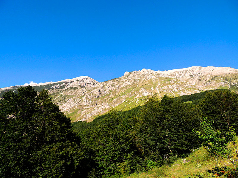 Anello di Lama Bianca